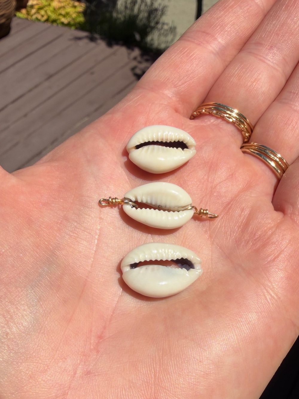 Cowry shells